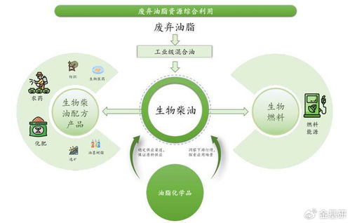 豐倍生物 技術創新驅動綠色全產業鏈，生物柴油市占率領先
