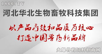 華北生物 聚焦生物技術開發(fā)，守護健康——病毒性疾病的防治原則與前沿實踐