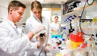 生物技術開發(fā) 光環(huán)背后的現(xiàn)實挑戰(zhàn)與未來之路